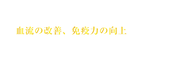 滋養強壮剤の代名詞ともいえる朝鮮人参