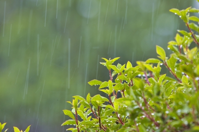 雨音